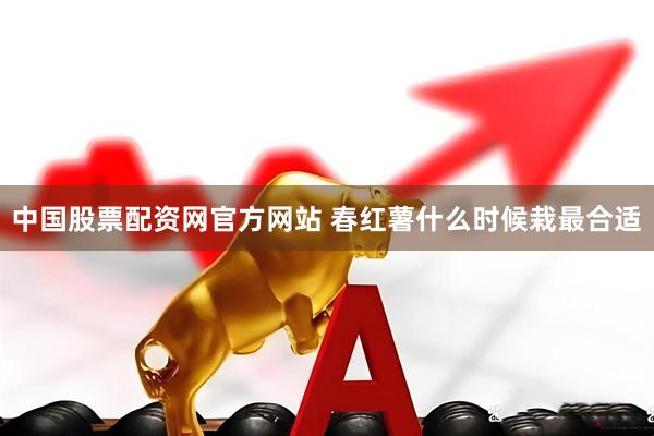 中国股票配资网官方网站 春红薯什么时候栽最合适