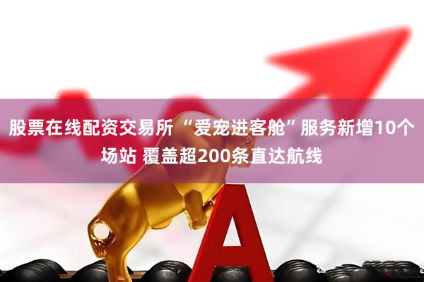 股票在线配资交易所 “爱宠进客舱”服务新增10个场站 覆盖超200条直达航线